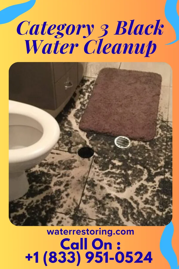Category 3 Black Water Cleanup in Point View, PA