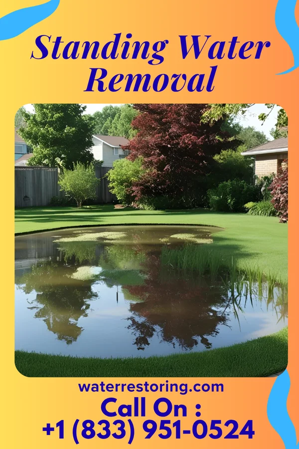 Standing Water Removal in Point View, PA